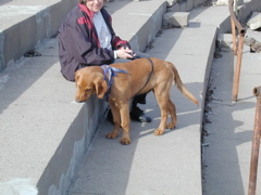 Nigel at the park