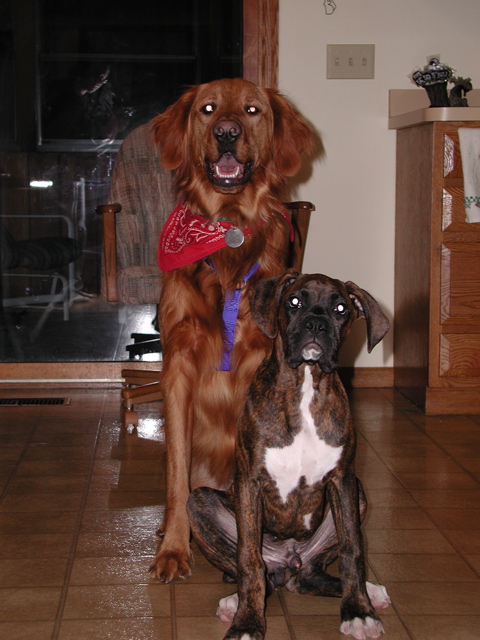 Nigel and Puck