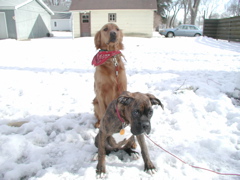 Nigel and Puck