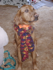 Nigel
