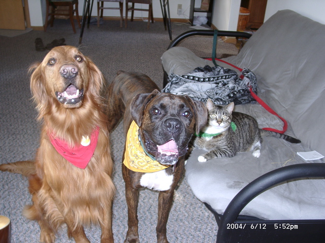 Nigel, Puck, and George
