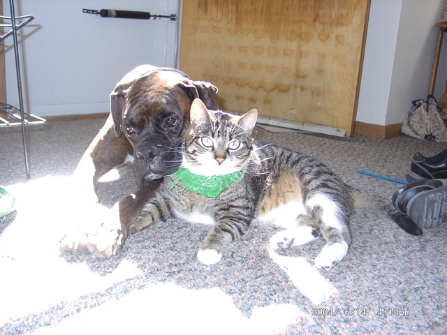 Puck and George