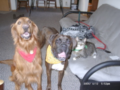 Nigel, Puck, and George
