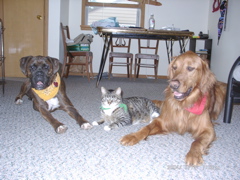 Puck, George, Nigel