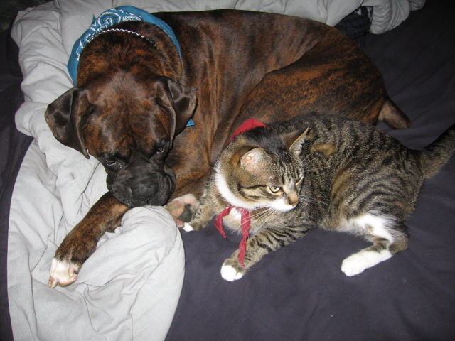 Puck and George