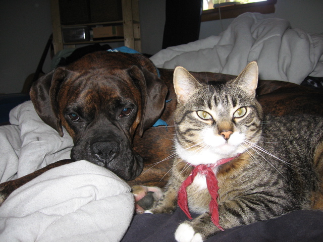 Puck and George