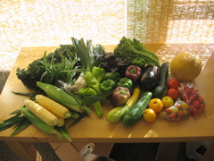 Easy Bean Food Share (August 9th)