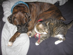 Puck and George
