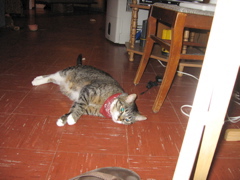 George