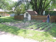 July 2 - our vegetable garden