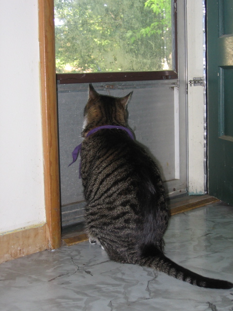 George waiting for the door to open