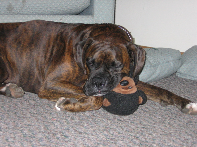 Puck with his monkey
