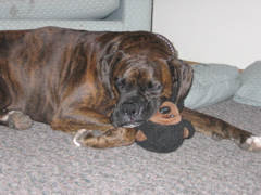 Puck with his monkey