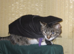 George, on graduation day.