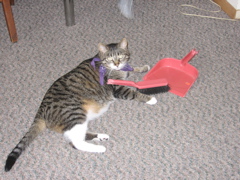 George, helping clean the house