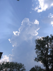 A neat sky picture
