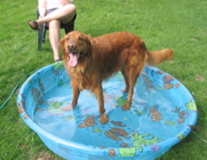 Pool party!
