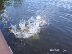 Nigel splashing into the ater