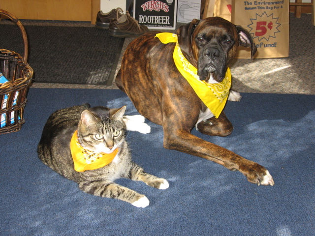 The Yellow Bandana Buddies
