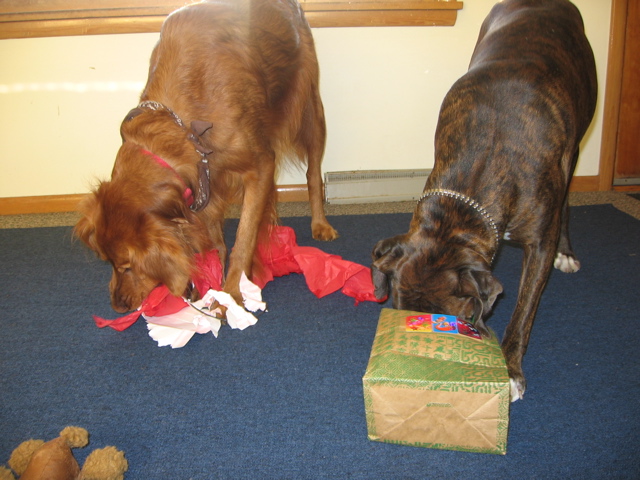 Unwrapping presents