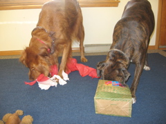 Unwrapping presents
