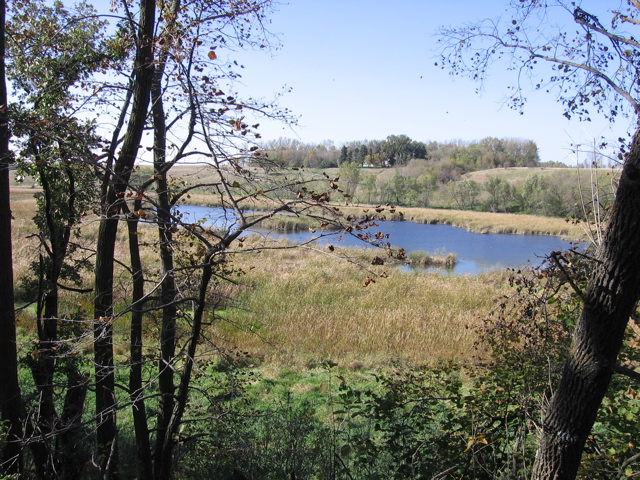 Wetlands