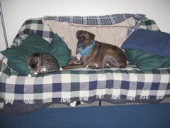 George and Puck