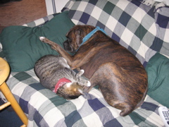 George and Puck