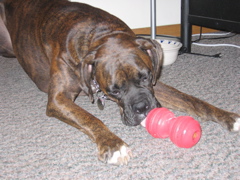 Puck
