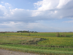 Morris scenery