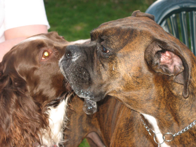 A slightly embarassing picture of Puck and Jessie