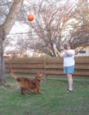 A pretty good action shot
