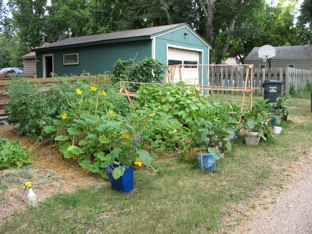 Garden in Back
