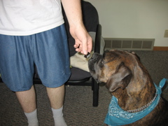 Puck and his Sushi