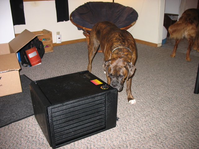 Puck and my new Food Dehydrator