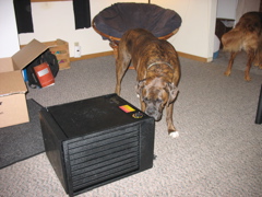 Puck and my new Food Dehydrator