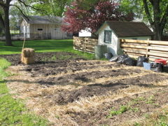 Back Garden - Early Shot