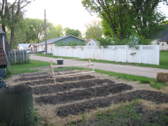 Back Garden