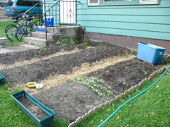 May 31: Garden Planted!