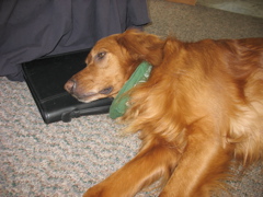 Nigel, my business partner