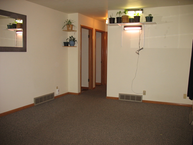 These are the "before" pictures...