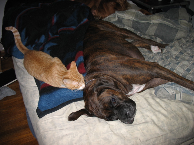Niko and Puck