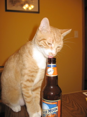 Niko enjoys a beer now and then