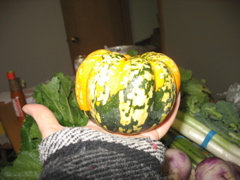 Squash